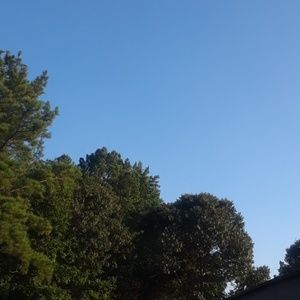 Meet your Posher, Travis